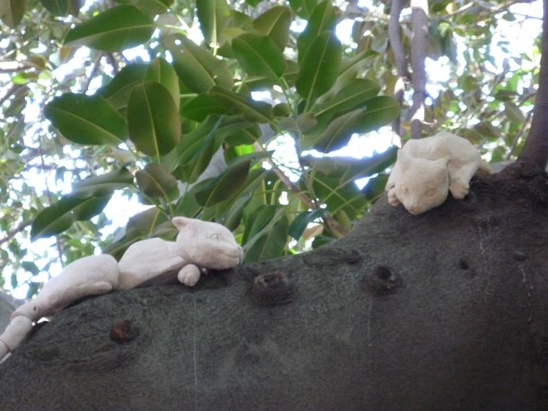 P1000316
