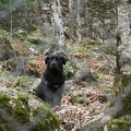 IMG 0554r