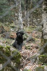 IMG 0554r