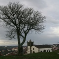 IMG 5707