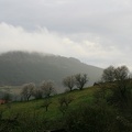 IMG 5711