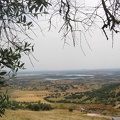 IMG 7909