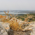 IMG 7929a