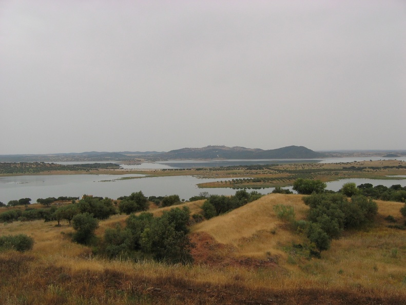 IMG_7944.jpg