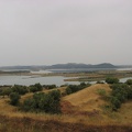 IMG 7944