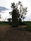 IMG 7171r
