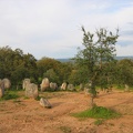 IMG 7179
