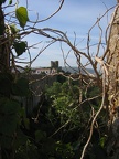 IMG 2250r