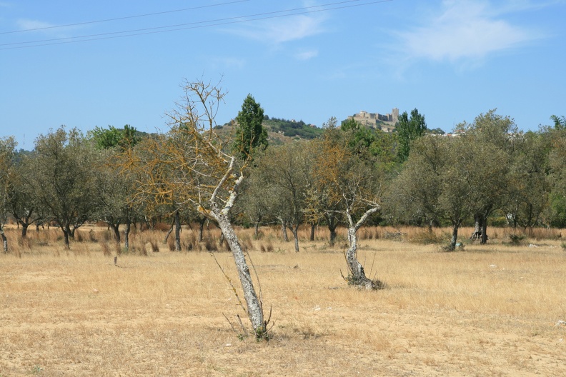 IMG_4864.JPG