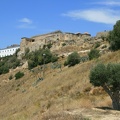 IMG 4870