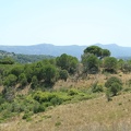 IMG 4883