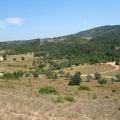 IMG 4884