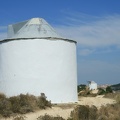 IMG 4892