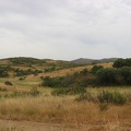 IMG 8028