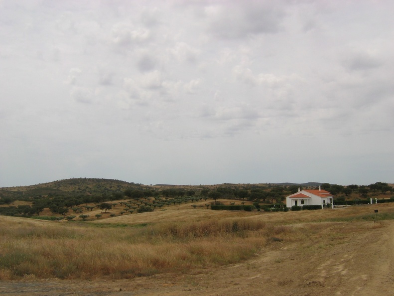 IMG_8042.jpg
