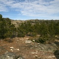 IMG 0478