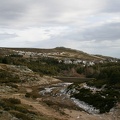IMG 0517