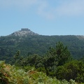 P1010053