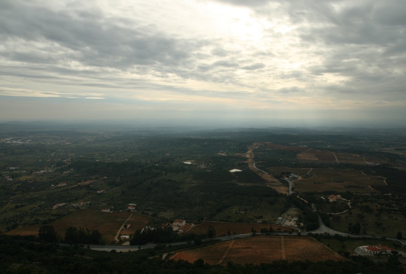 IMG 7449