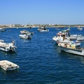 IMG 7472