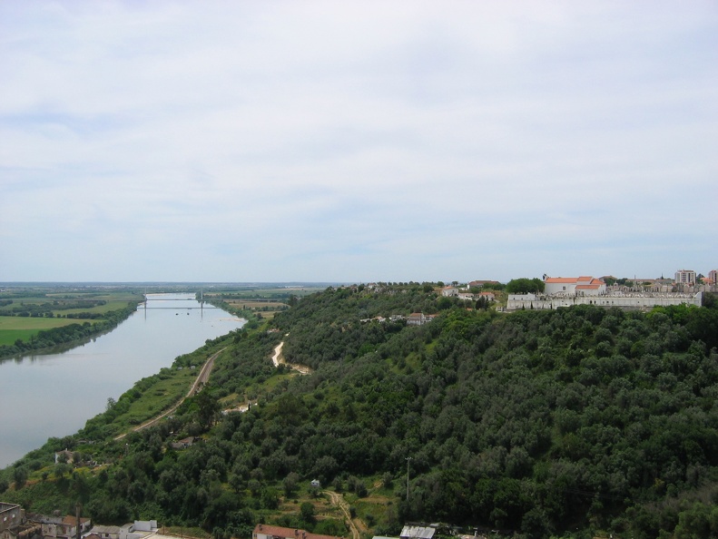 IMG_7876.jpg