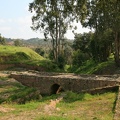 IMG 2019