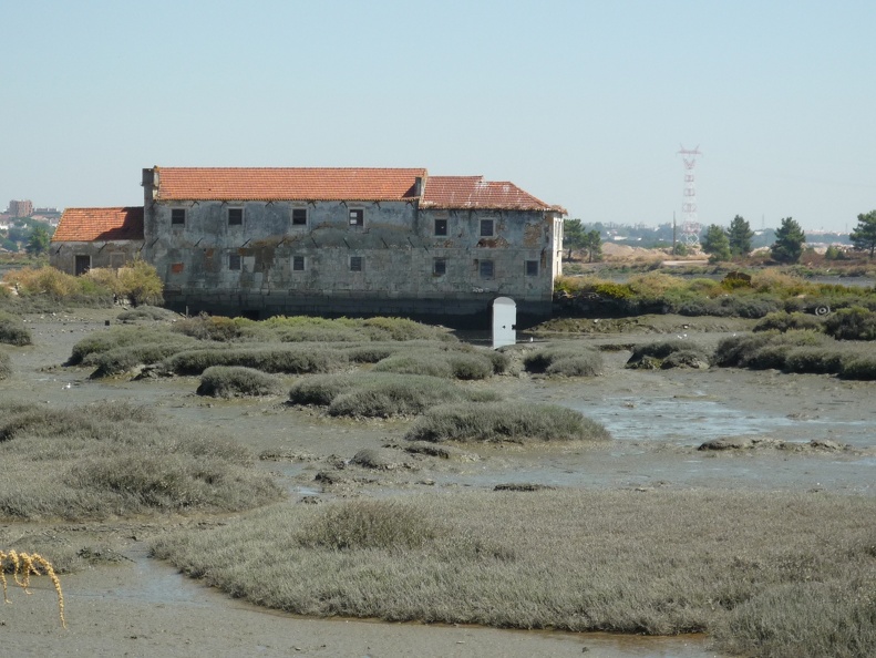P1020041