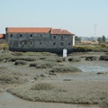 P1020041