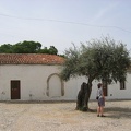 IMG 7957