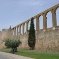 IMG 7973