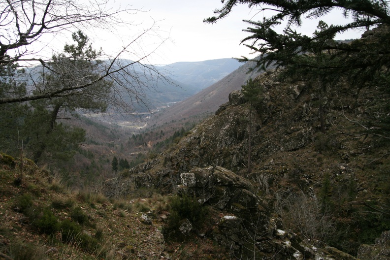 IMG 0607