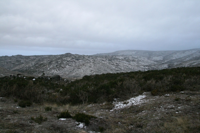 IMG 0619