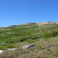 IMG 3904