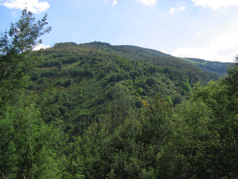 IMG_2707.jpg