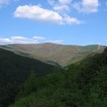 IMG 2774