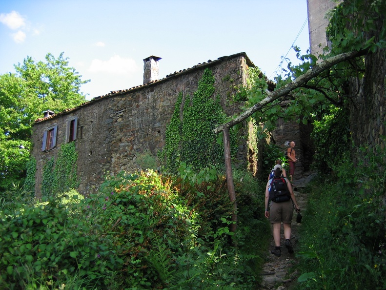 IMG 2775