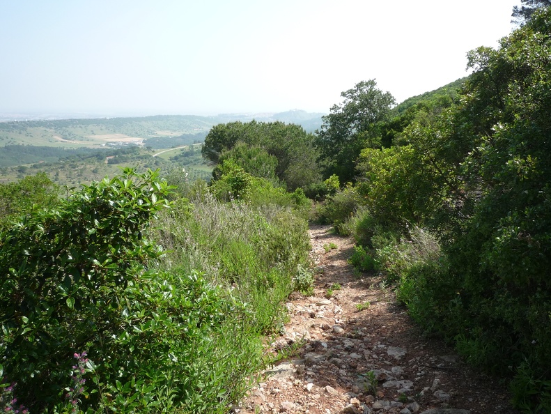 P1010656.JPG