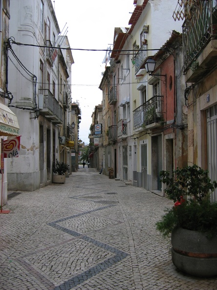 IMG_1255r.jpg