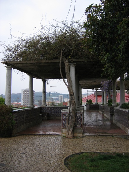 IMG_1262r.jpg