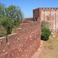 IMG 0939