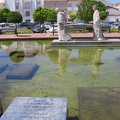 IMG 0952