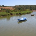 IMG 0971