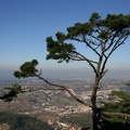 IMG 7782