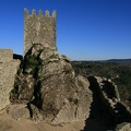 IMG 0347r