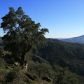 IMG 0350