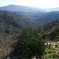 IMG 0352