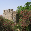 IMG 4269