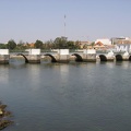 IMG 4285