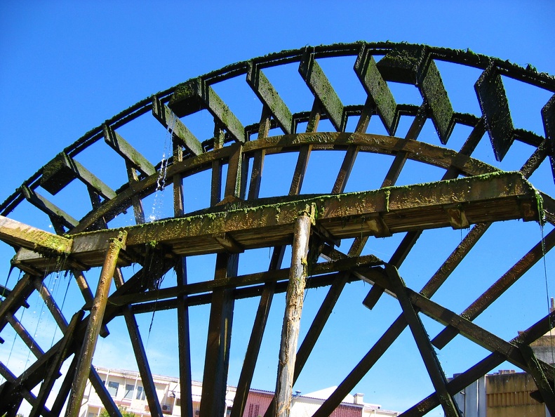 IMG 9269