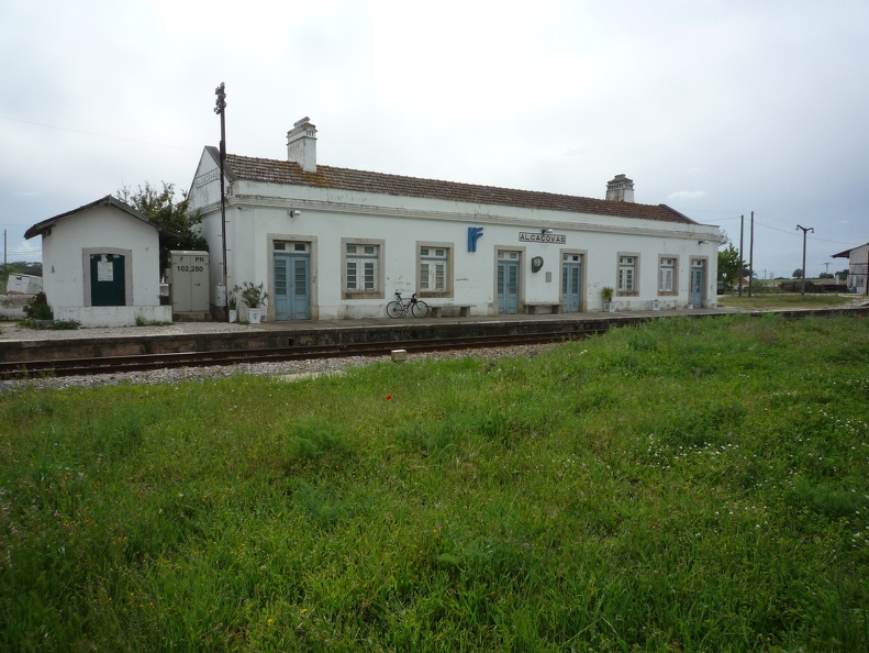 P1010559